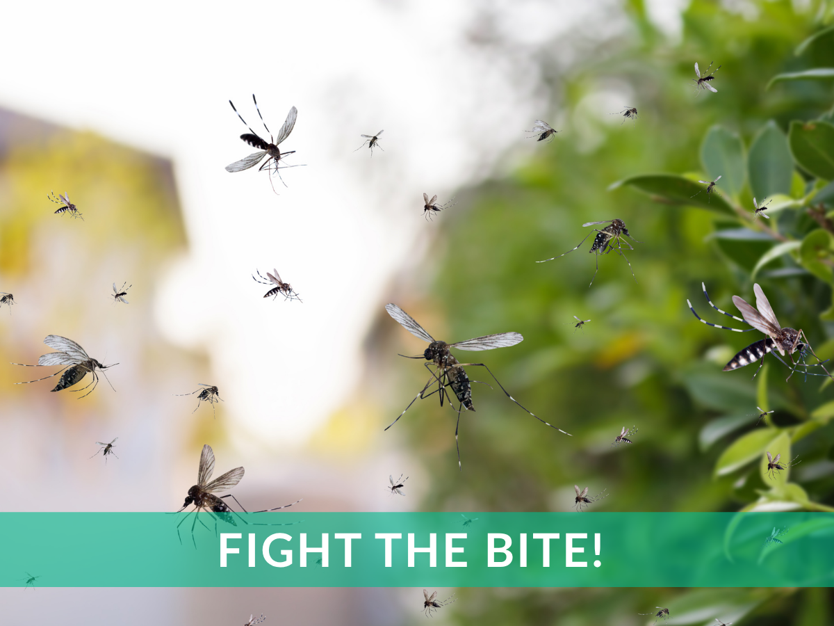 Mosquito and outdoor pest fogging only.