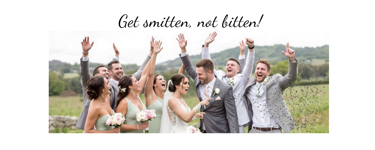 Bye Bye Bites Chapin SC- Pest Control & Outdoor Fogging's image