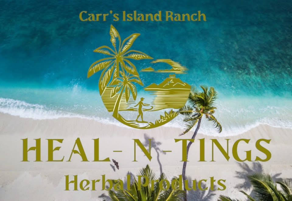 Heal- n -Tings's image
