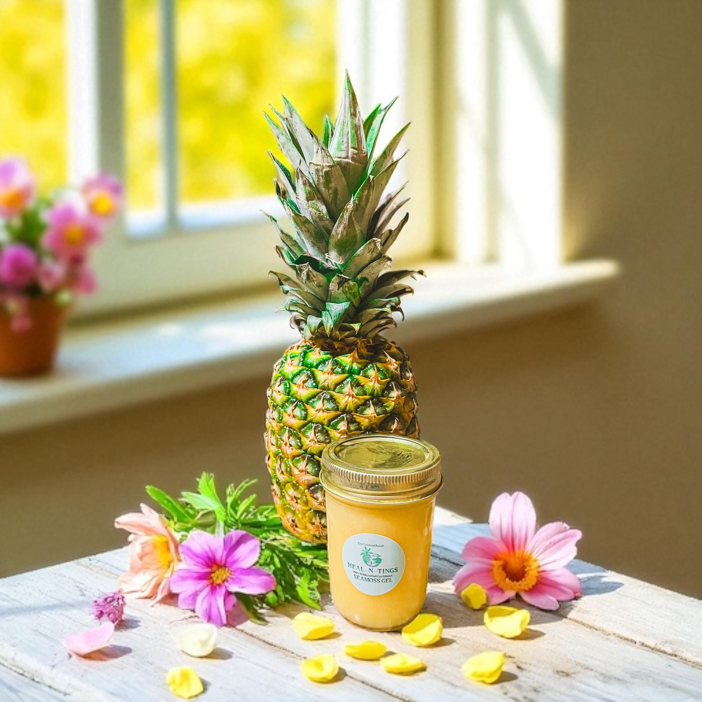 8 oz Pineapple N Ginger Sunrise Seamoss