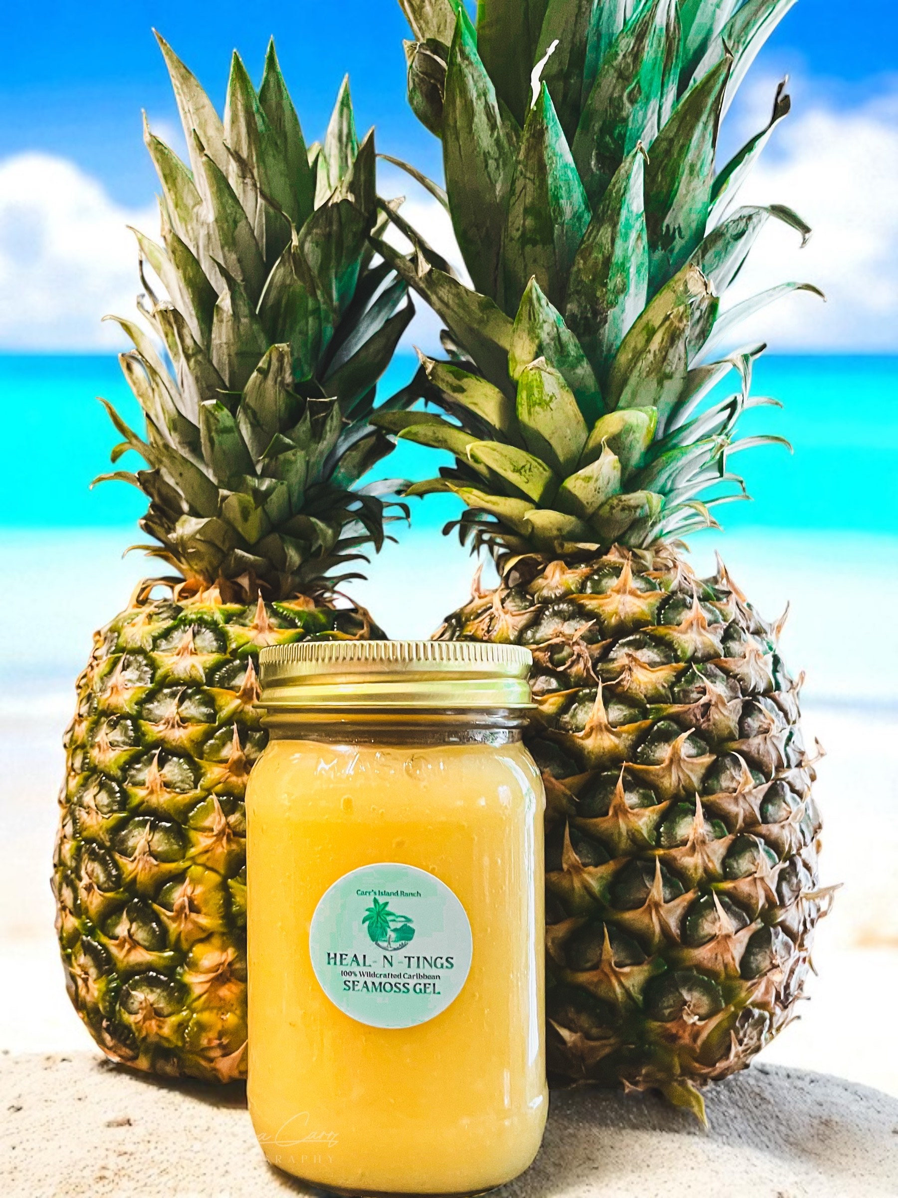 16 oz Pineapple N Ginger Sunrise Seamoss
