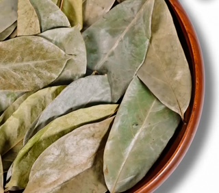 SOURSOP LEAVES