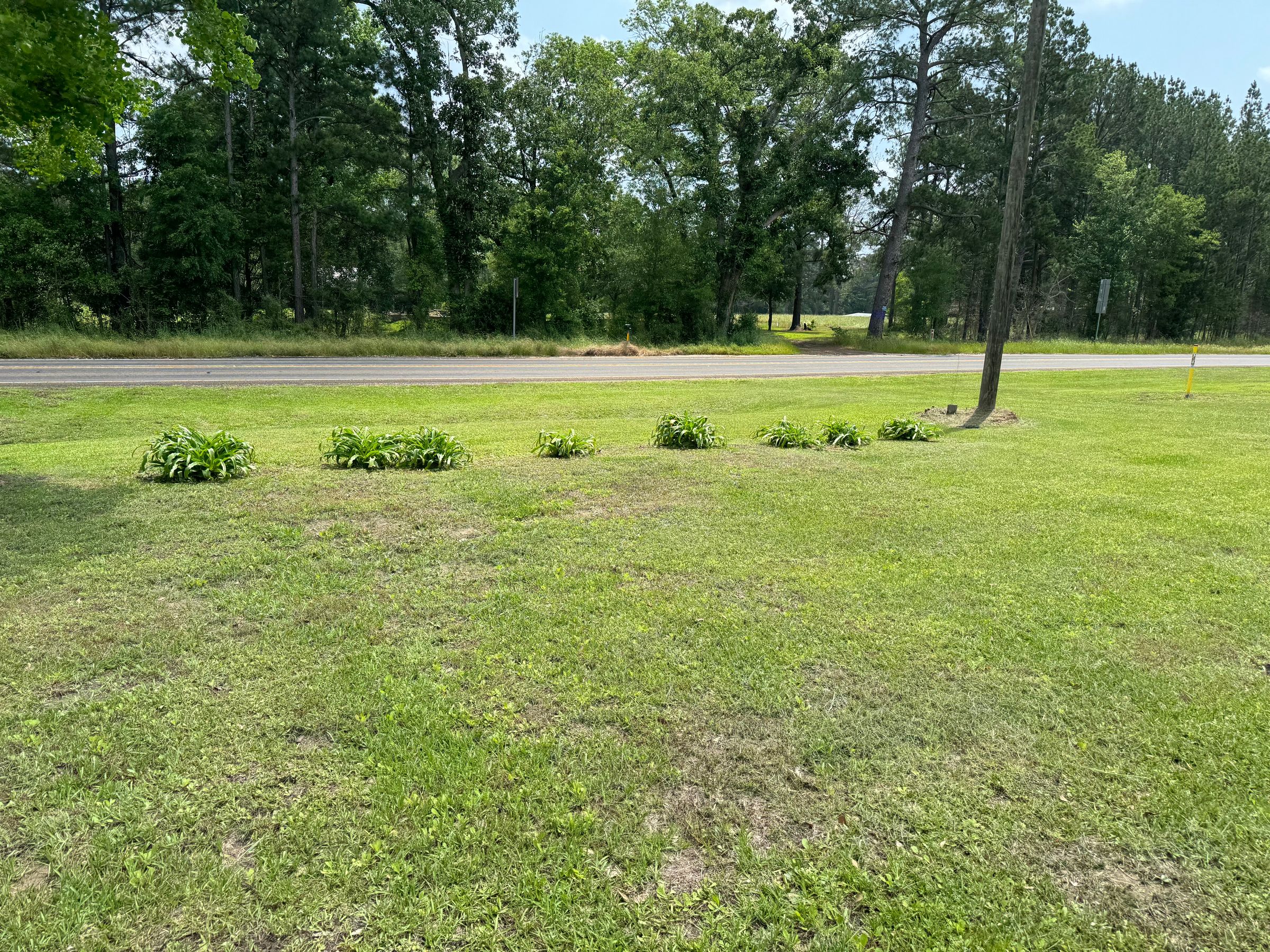 E&M Lawn Services LLC's image