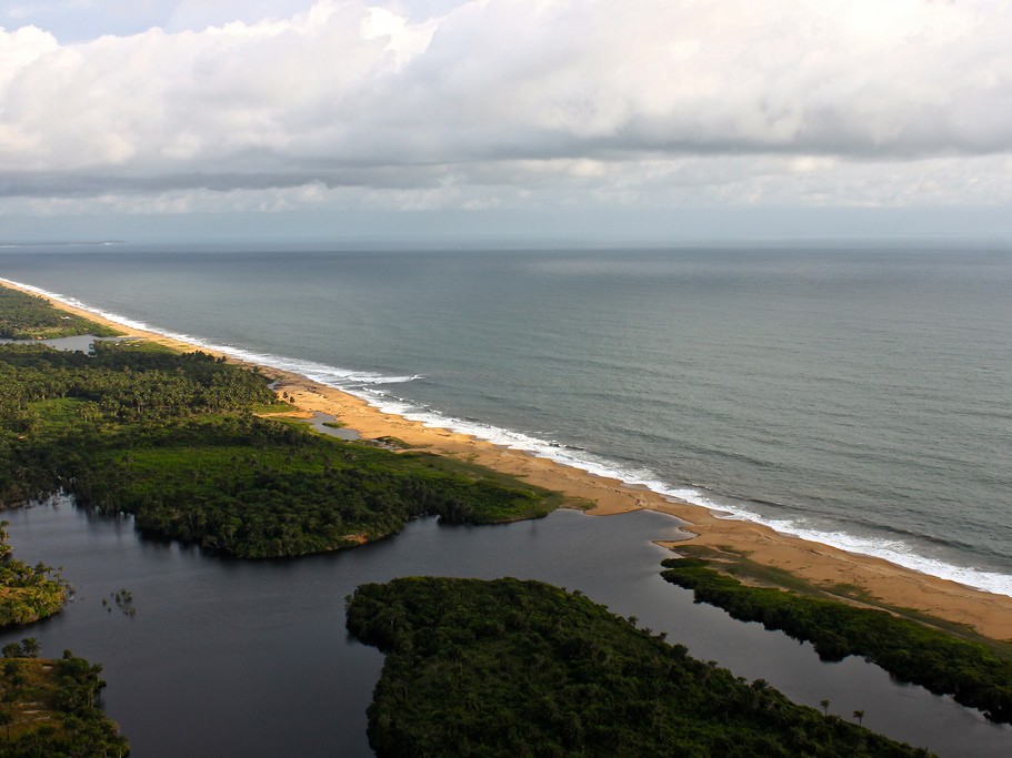 Liberia Carbon Solutions's image