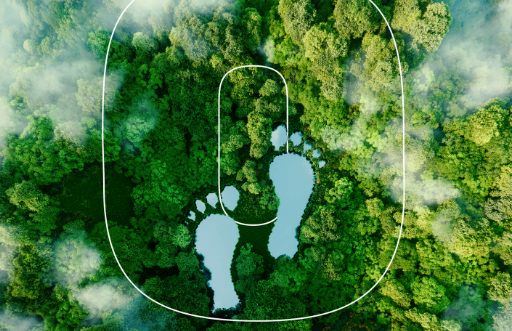 Liberia Carbon Solutions's image