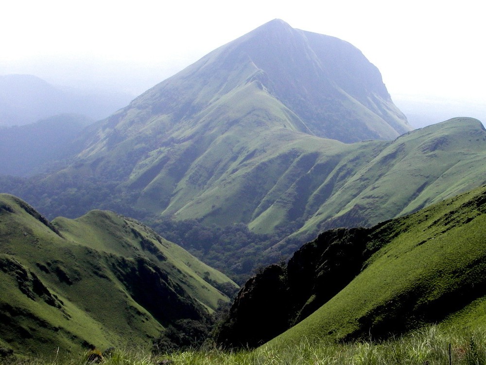 Liberia Carbon Solutions's image