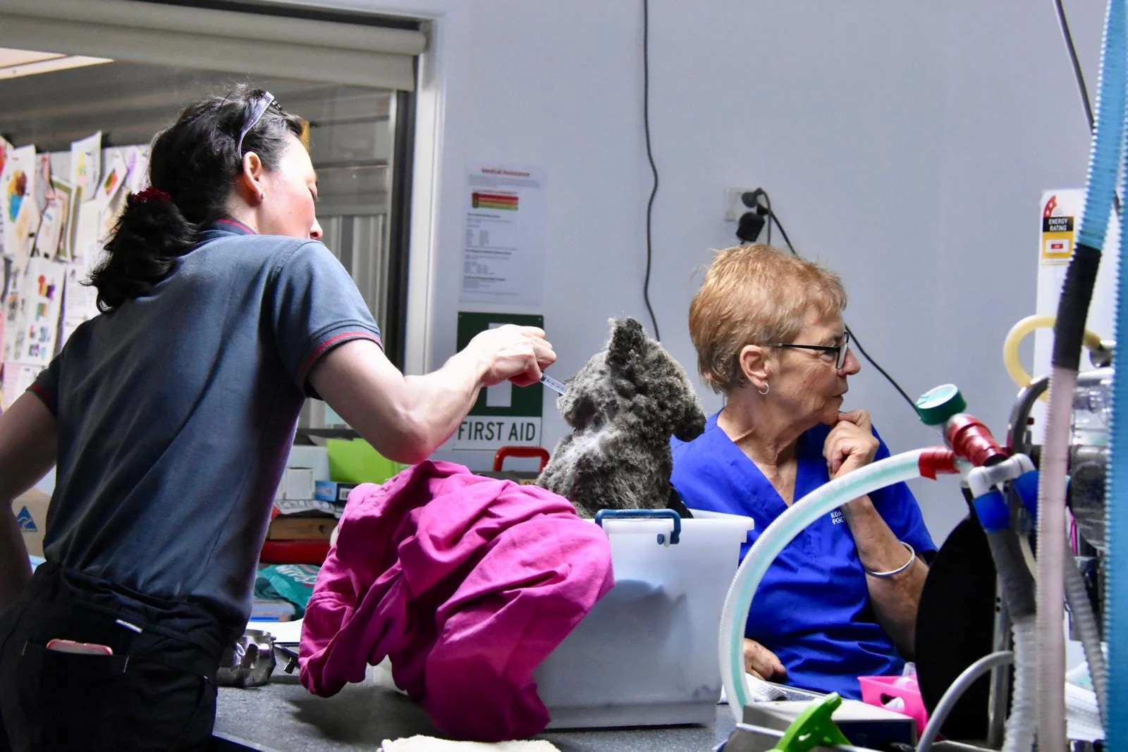 Koalahilfe Deutschland's image