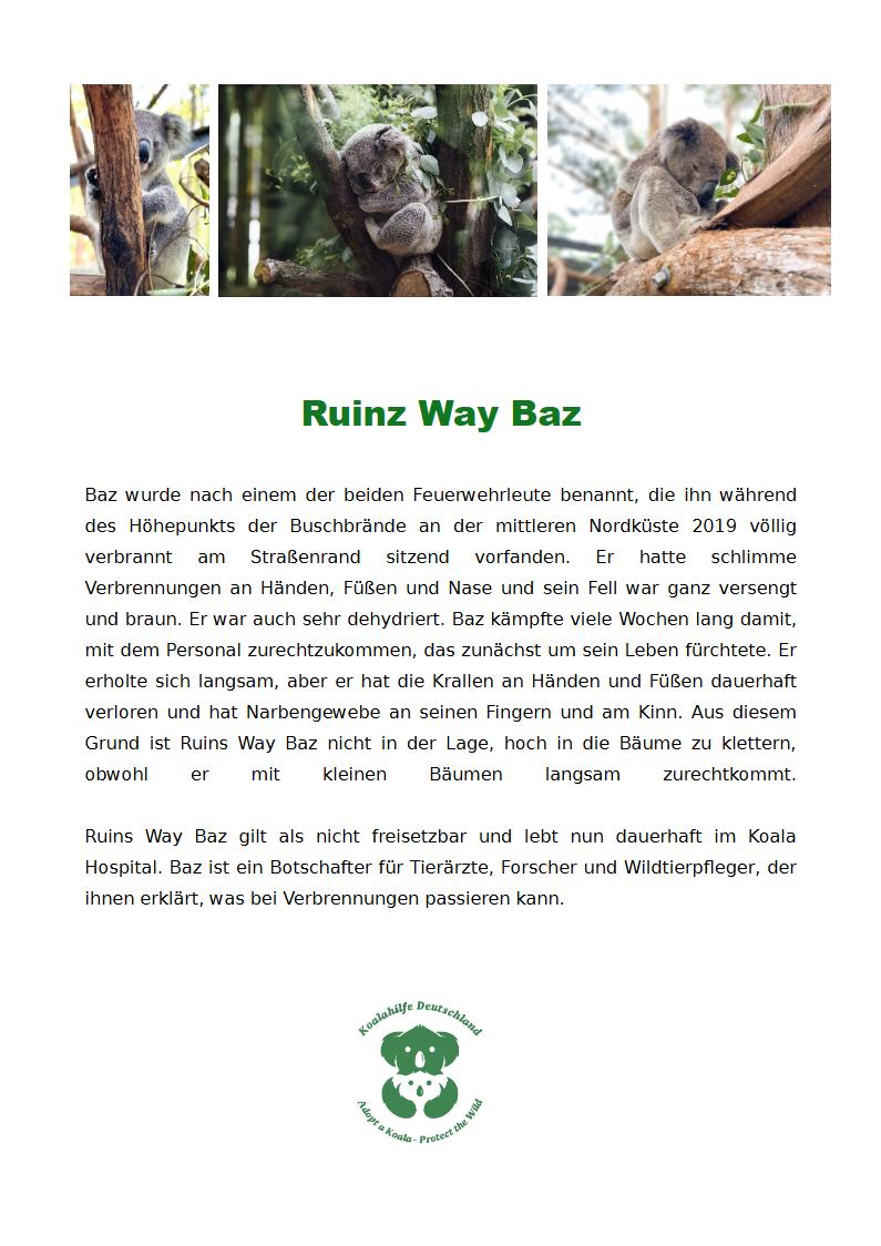 Koalahilfe Deutschland's image