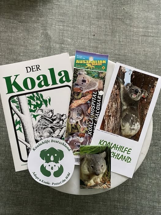 Koalahilfe Deutschland's image