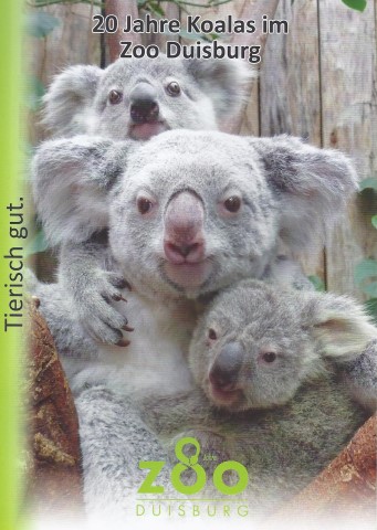Koalahilfe Deutschland's image