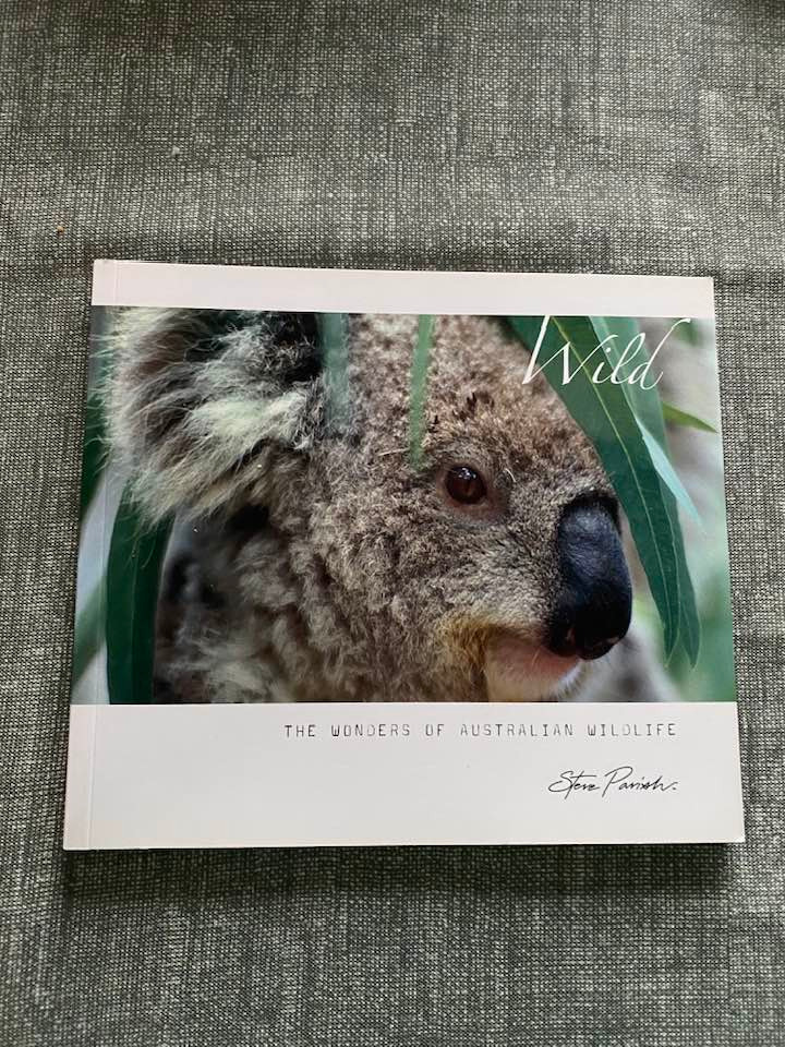 Koalahilfe Deutschland's image