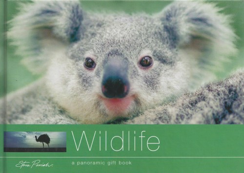 Koalahilfe Deutschland's image
