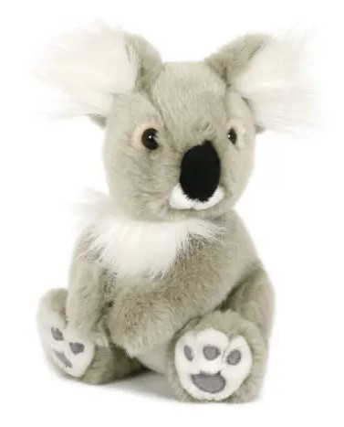 Koalahilfe Deutschland's image