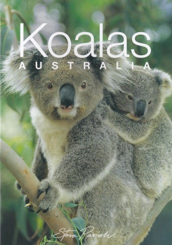 Koalahilfe Deutschland's image
