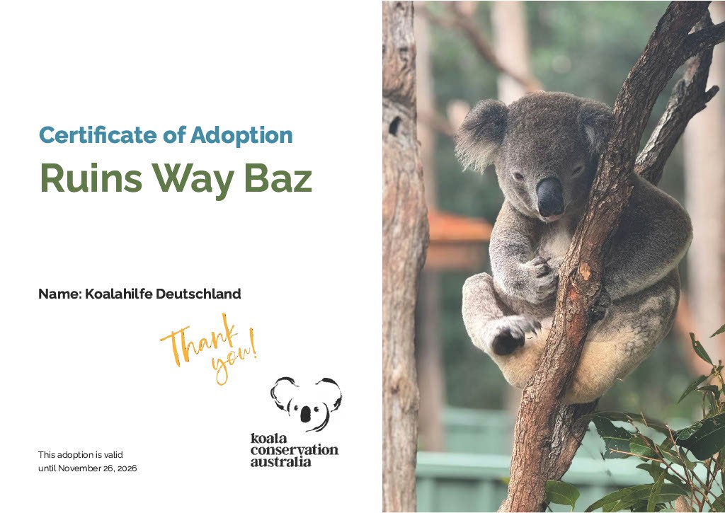 Koalahilfe Deutschland's image