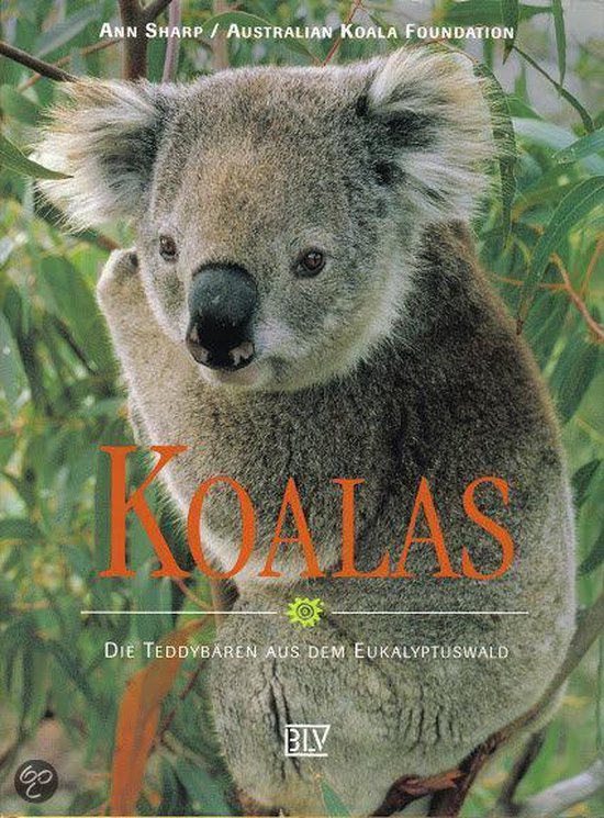 Koalahilfe Deutschland's image