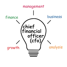 Virtual CFO Services