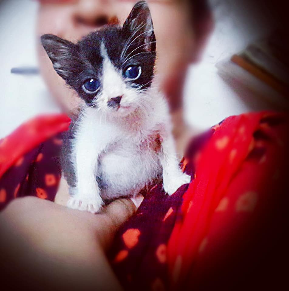 Sadia Fatema Moula's image