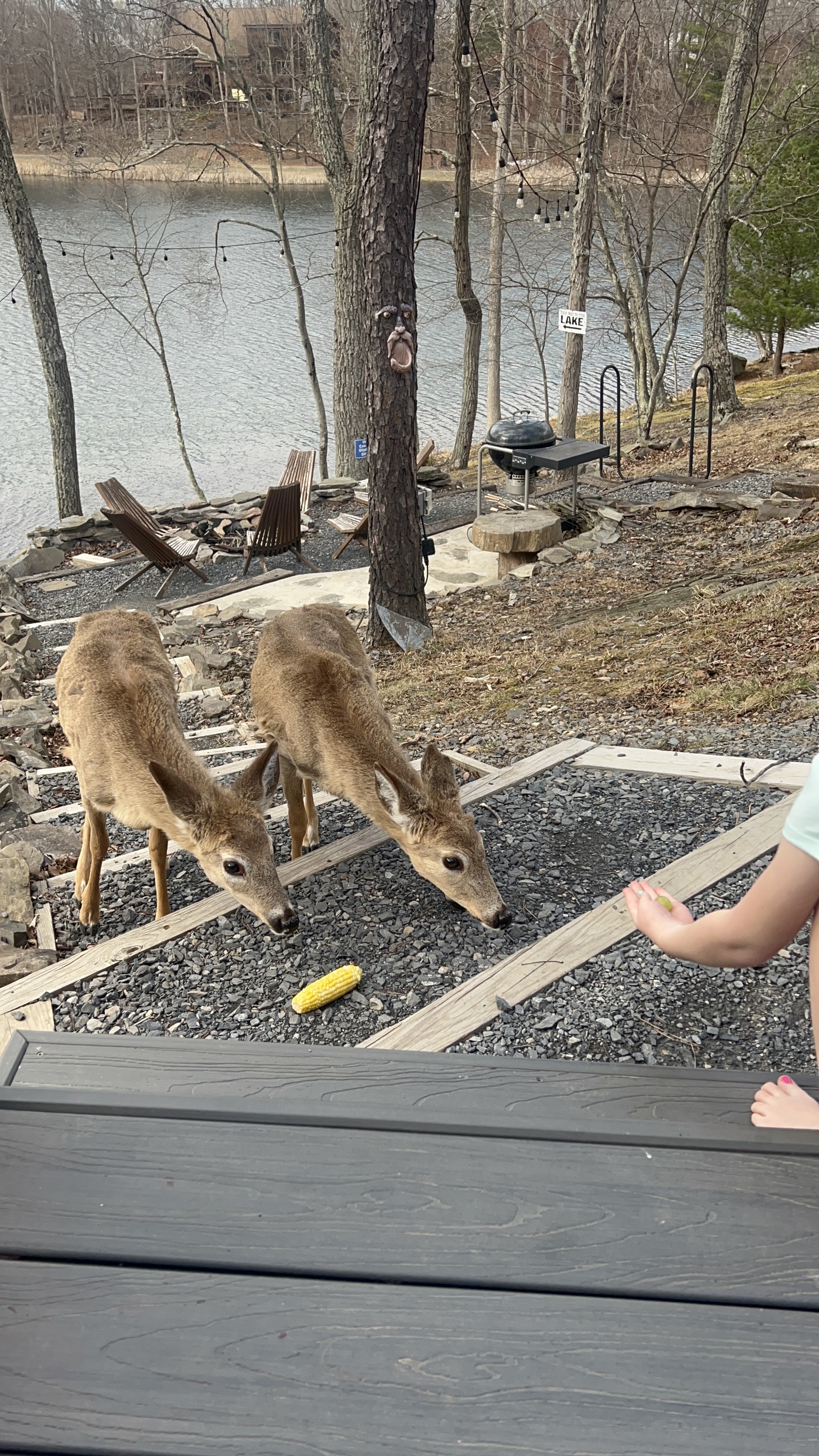 The Blue Canoe Lakehouse's image