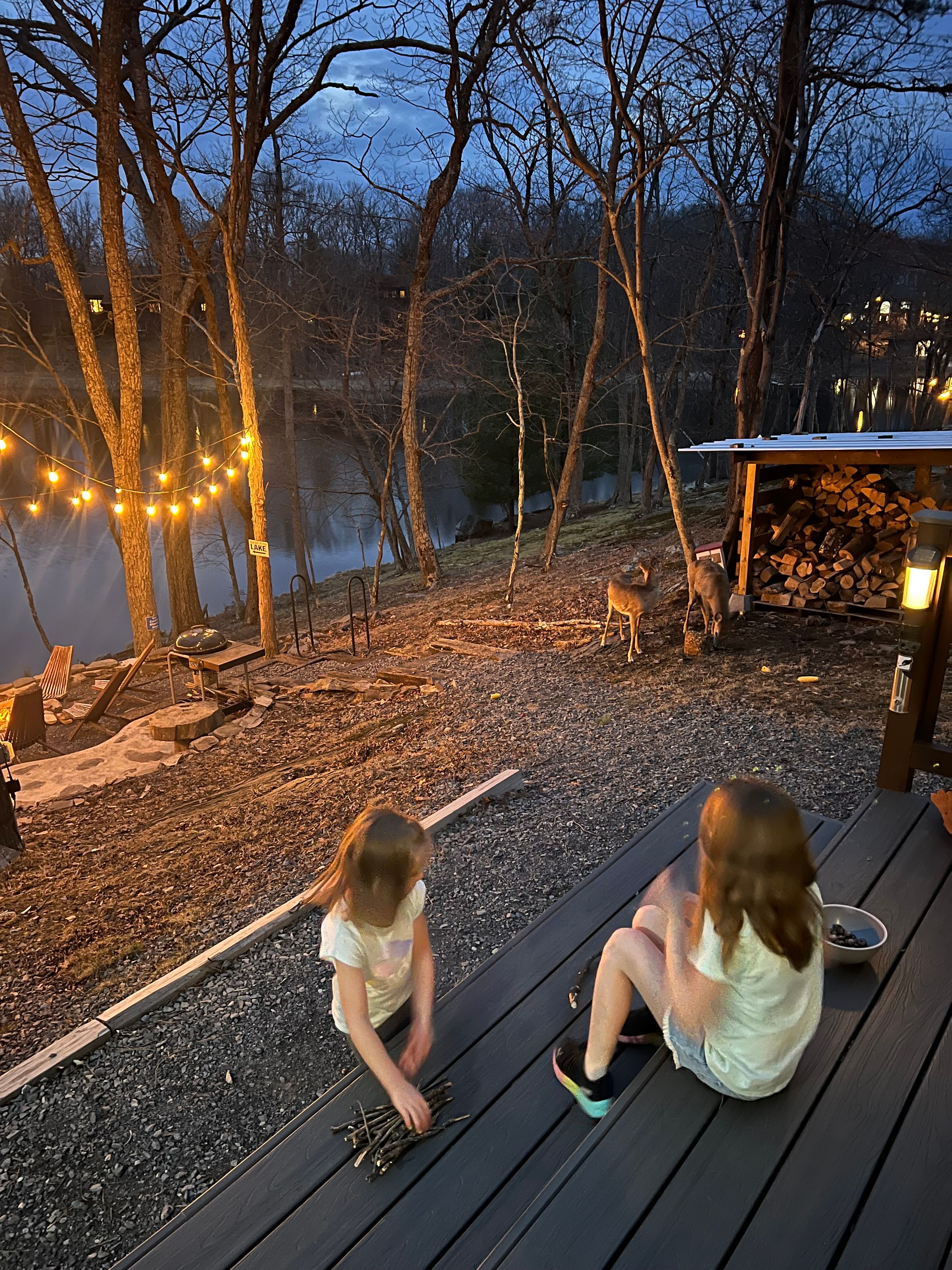 The Blue Canoe Lakehouse's image