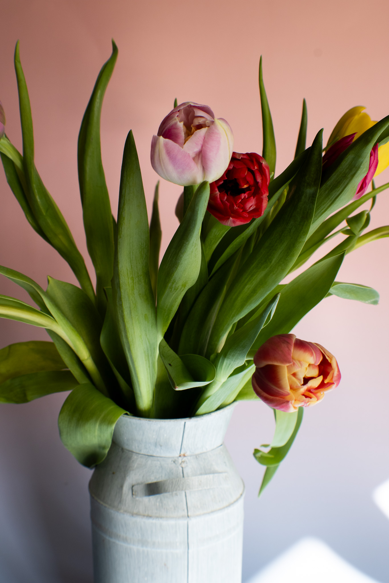 Food & Commercial Photographer in Swansea's image