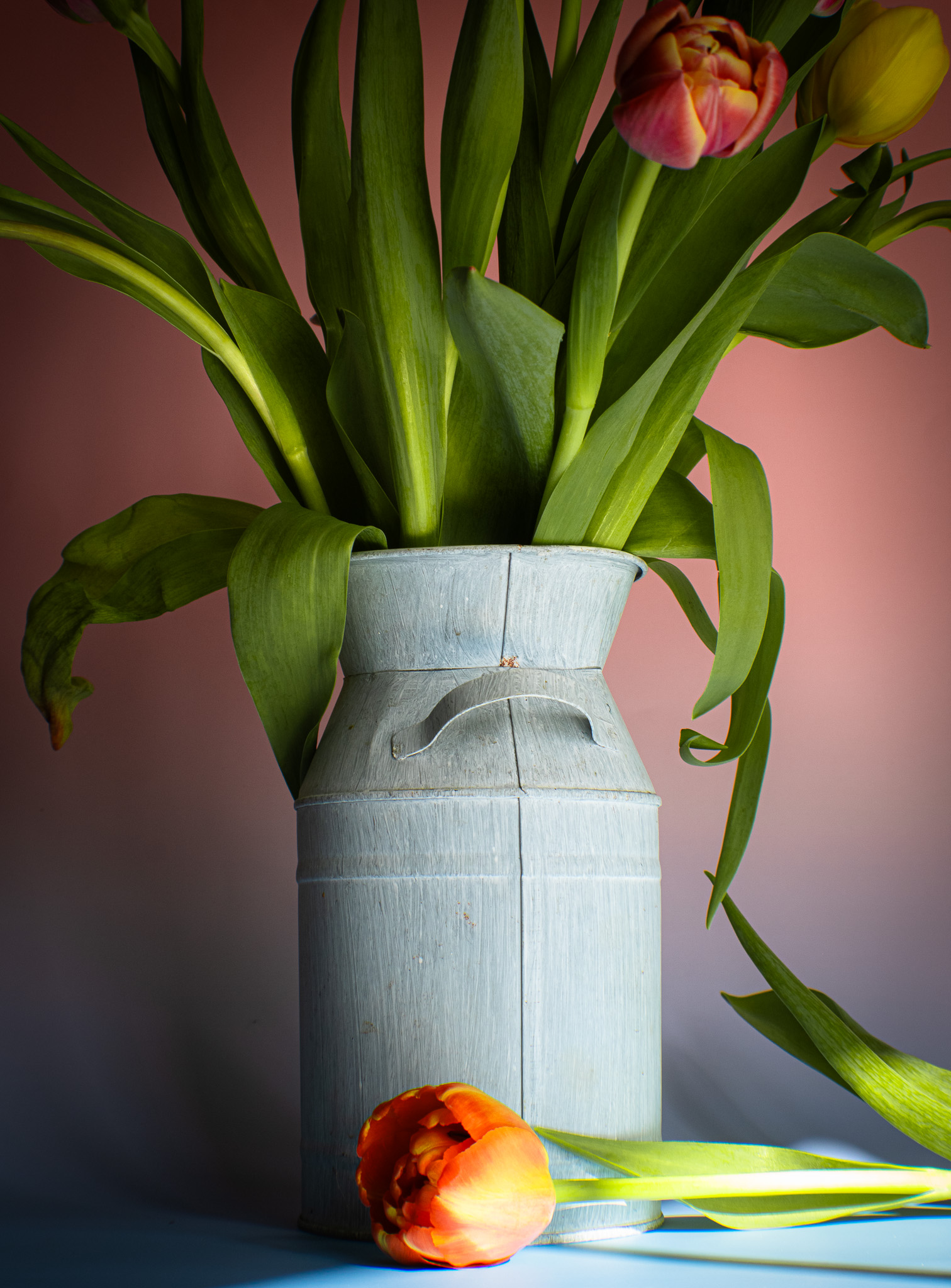 Food & Commercial Photographer in Swansea's image