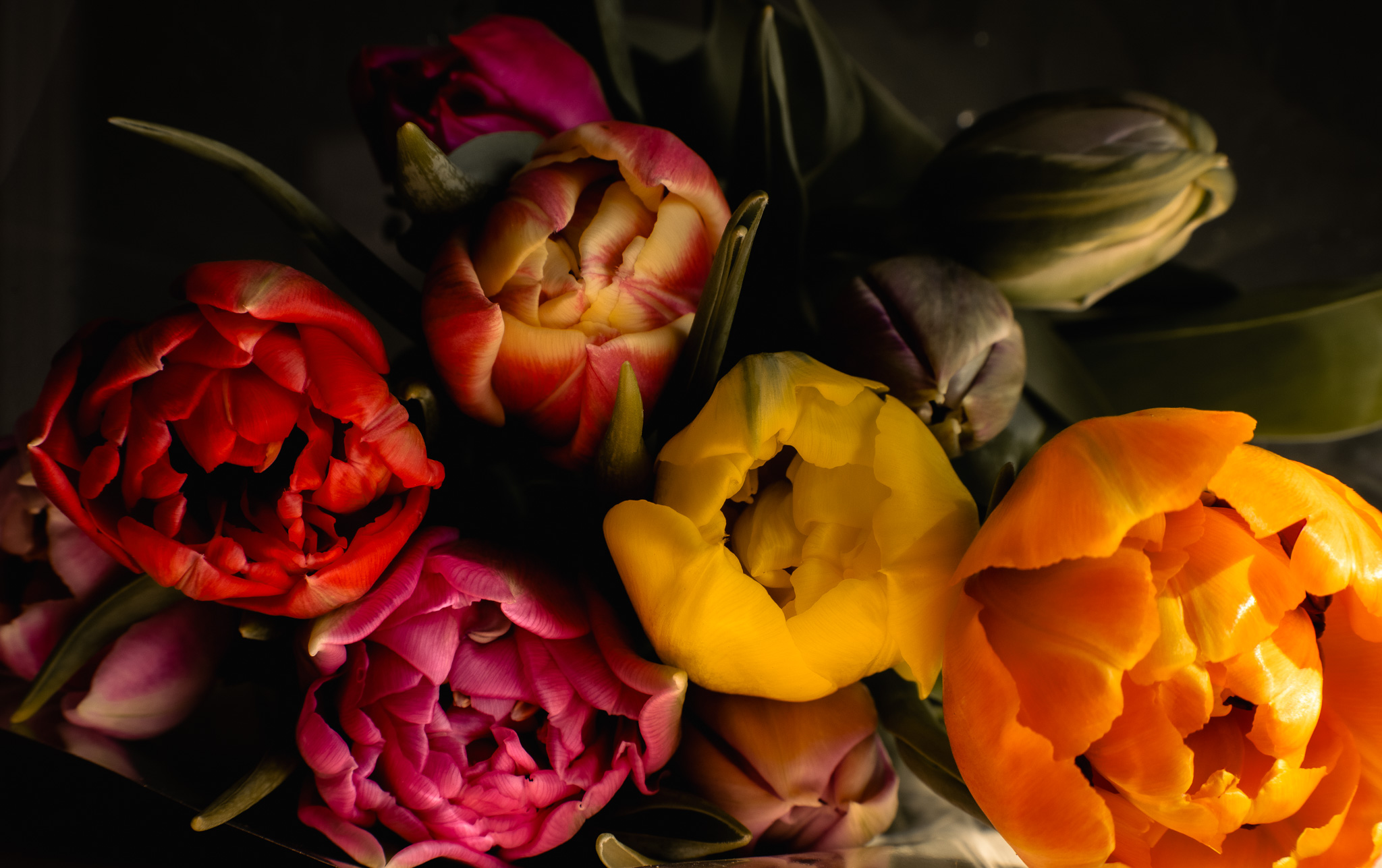 Food & Commercial Photographer in Swansea's image