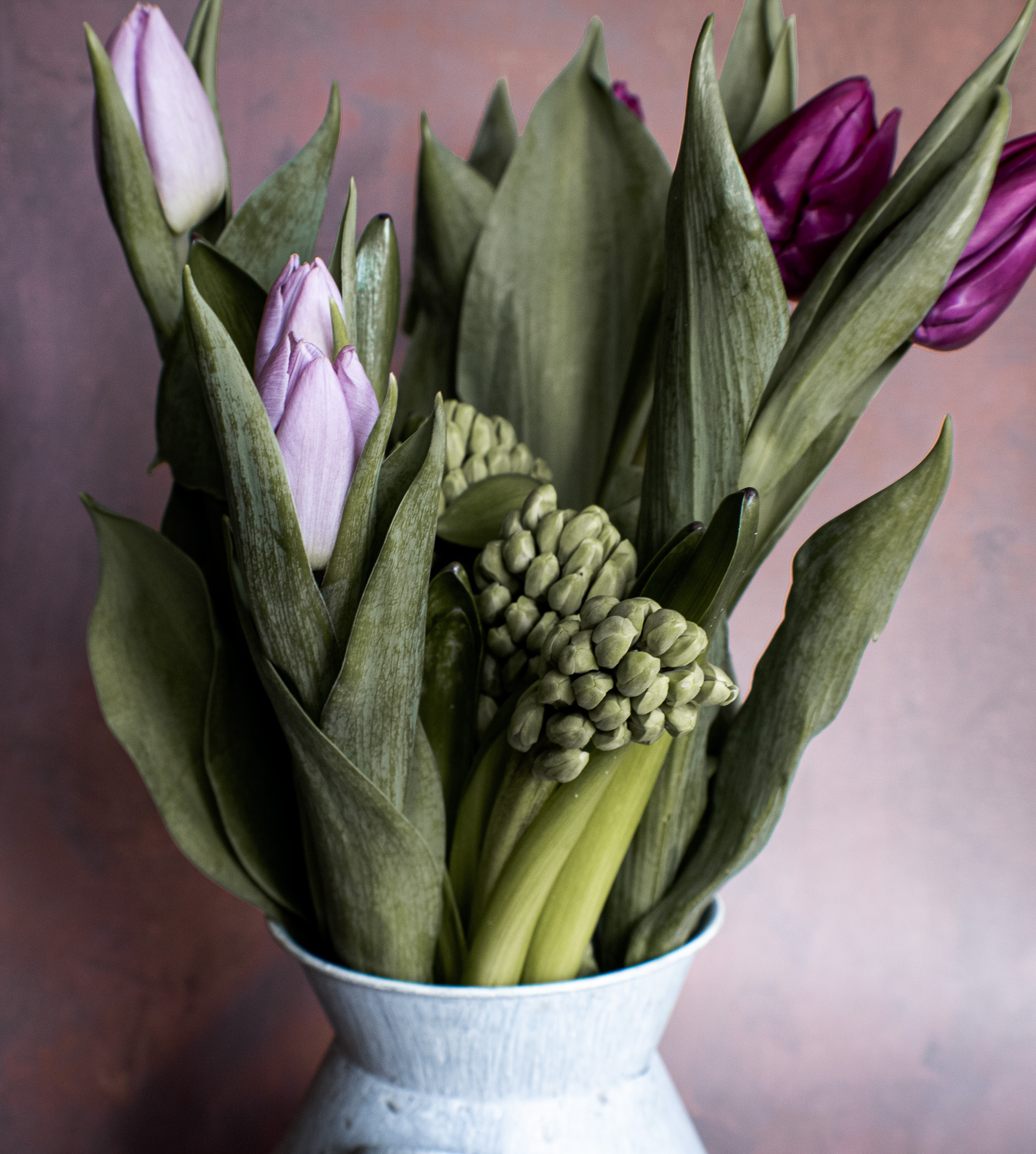 Food & Commercial Photographer in Swansea's image