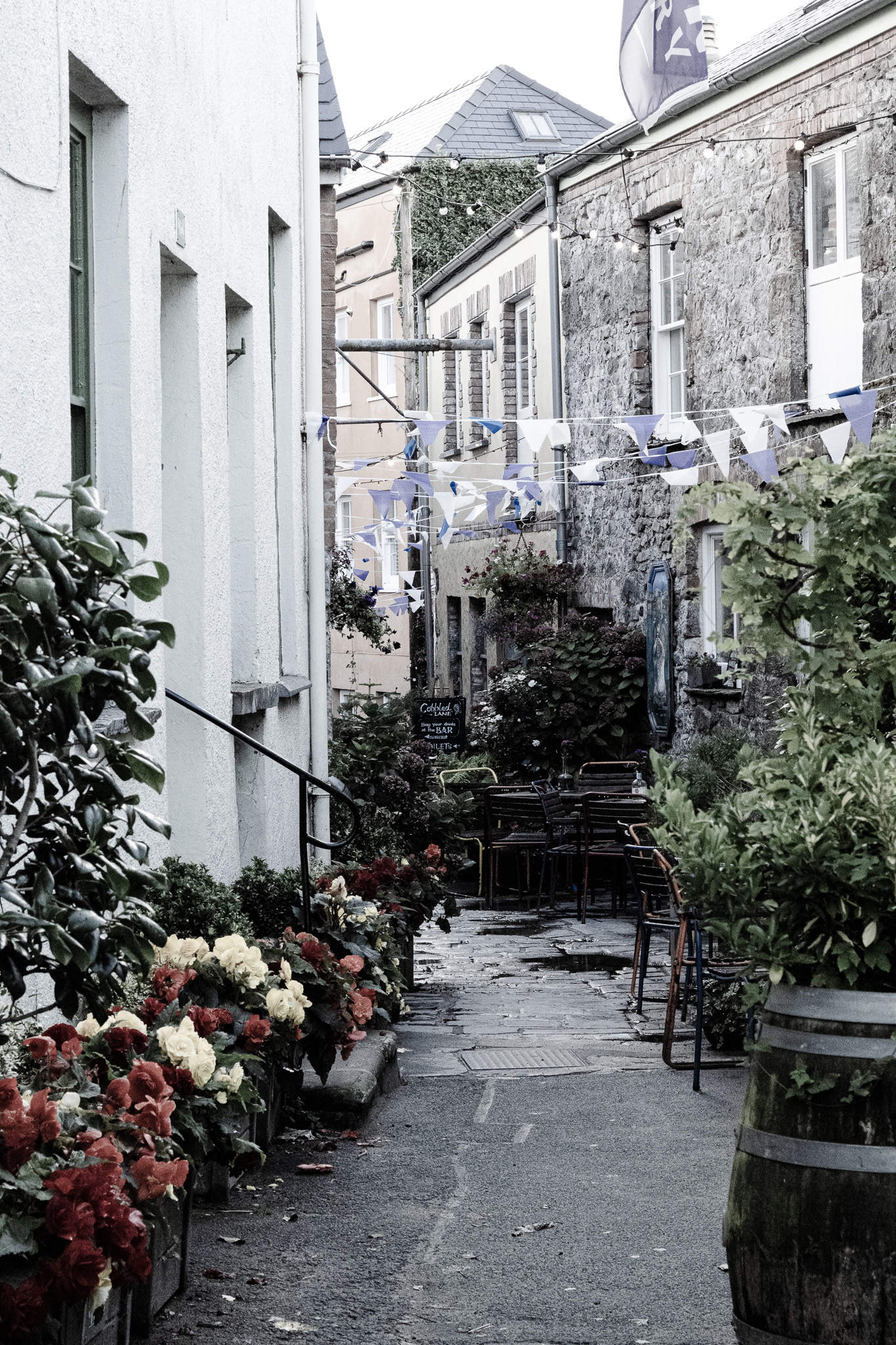 Food & Commercial Photographer in Swansea's image