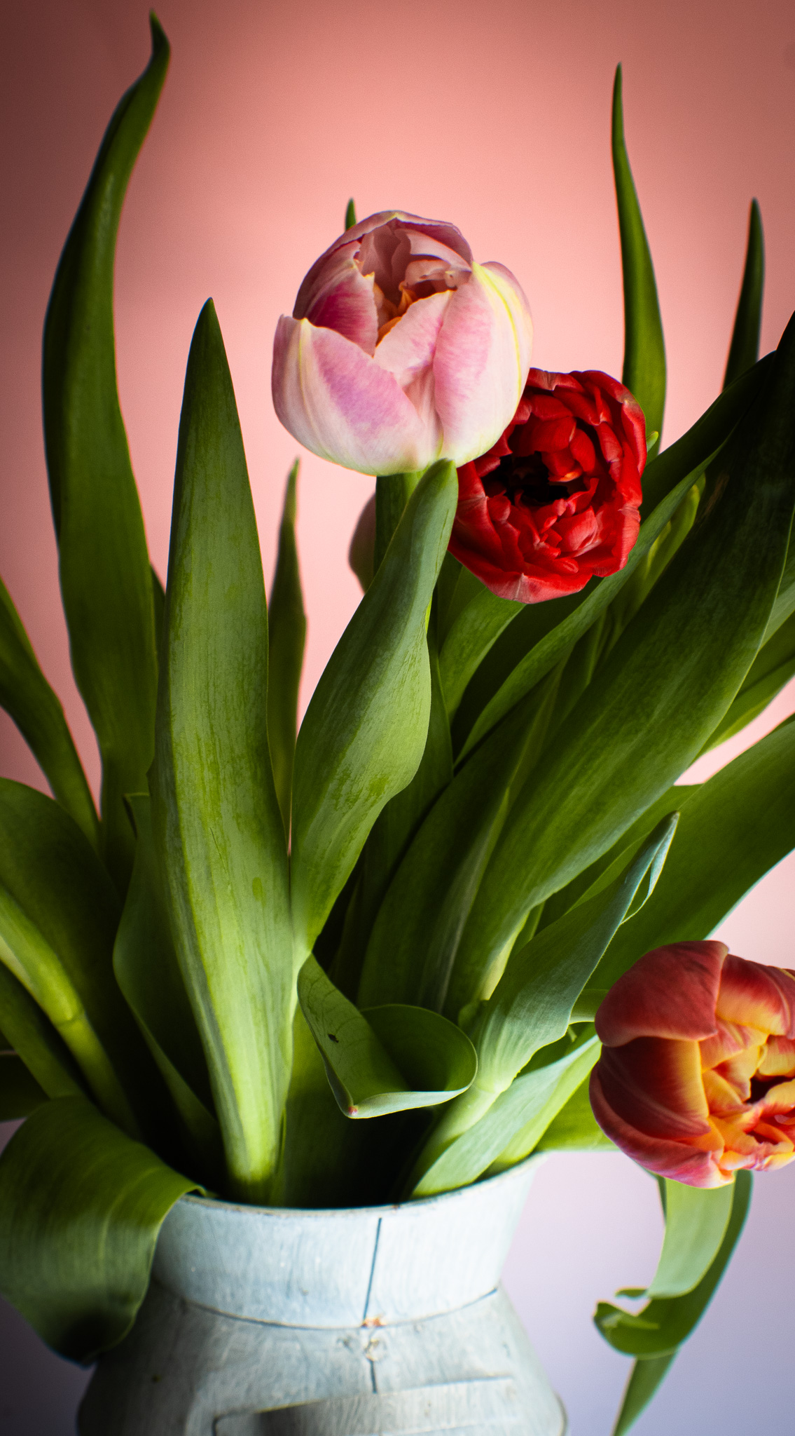 Food & Commercial Photographer in Swansea's image