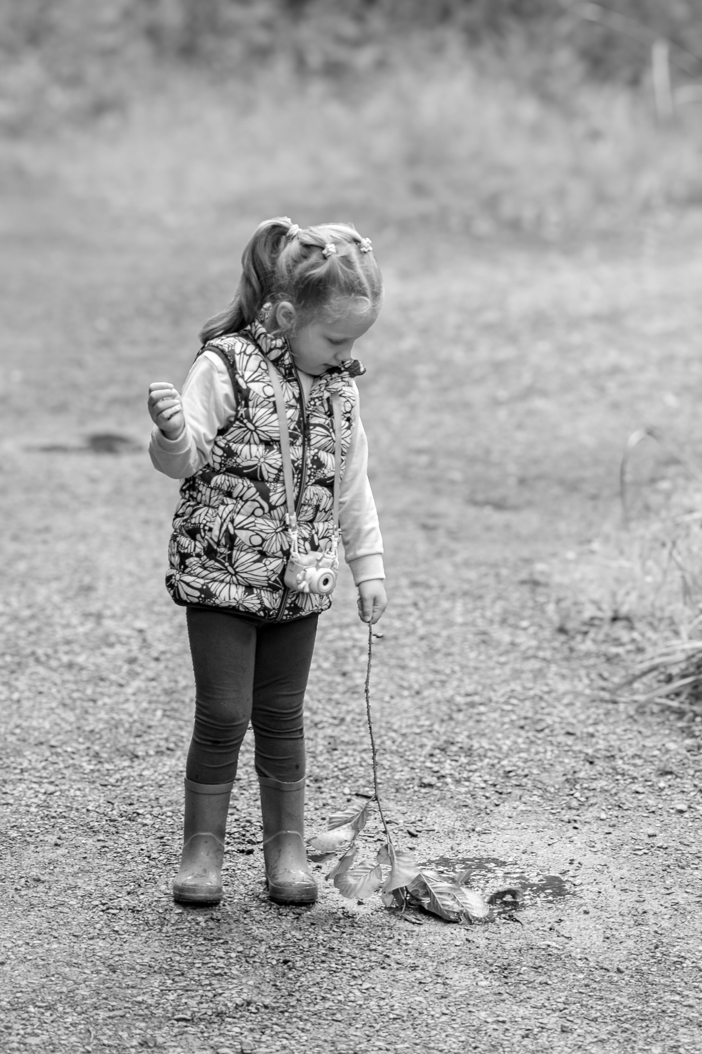 http://www.photographybysharon.co.uk/'s image