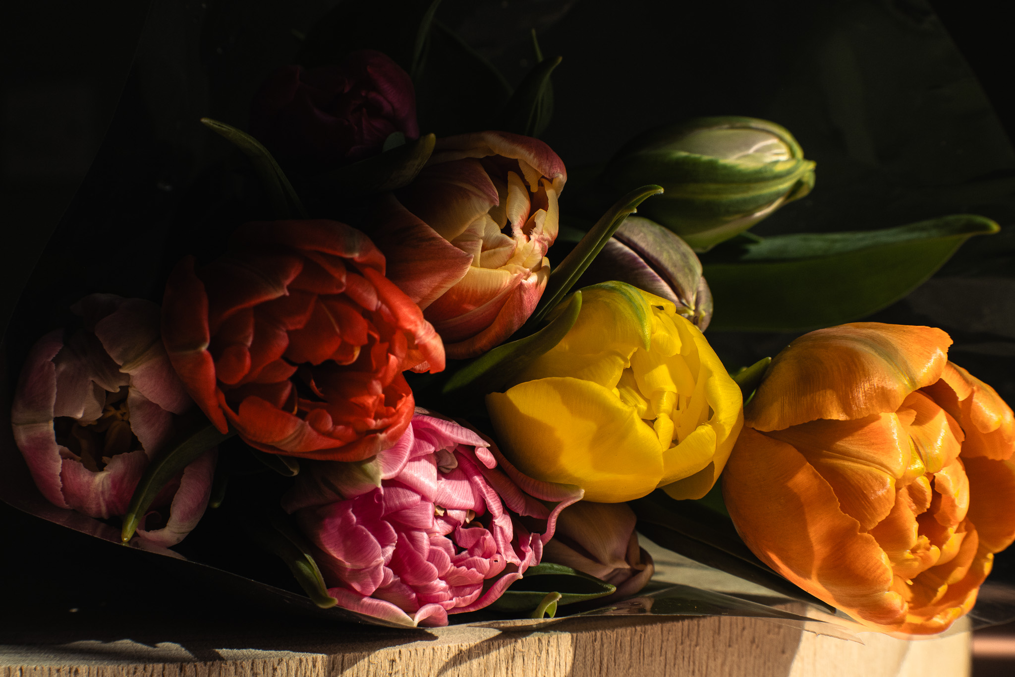 Food & Commercial Photographer in Swansea's image