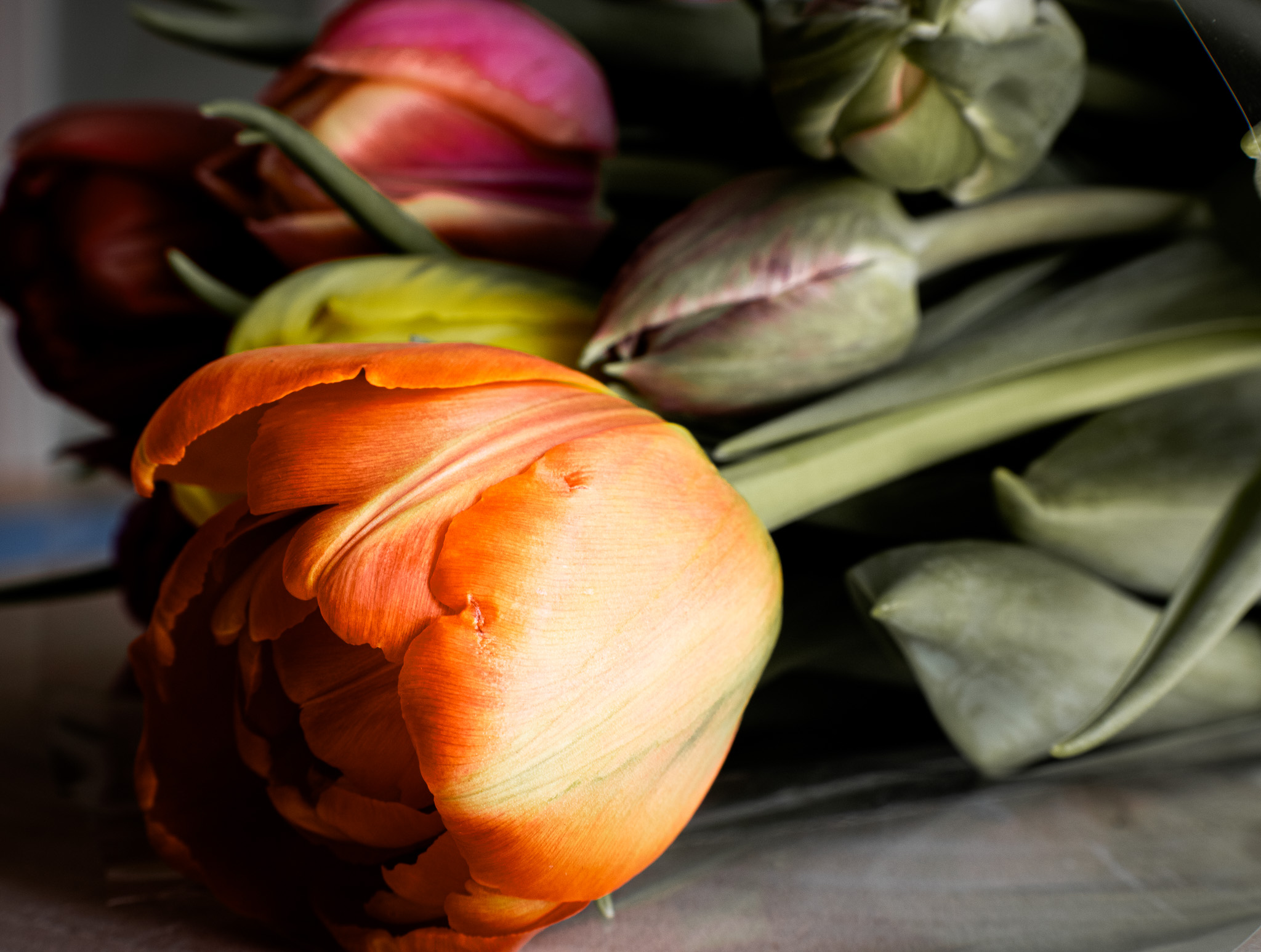 Food & Commercial Photographer in Swansea's image