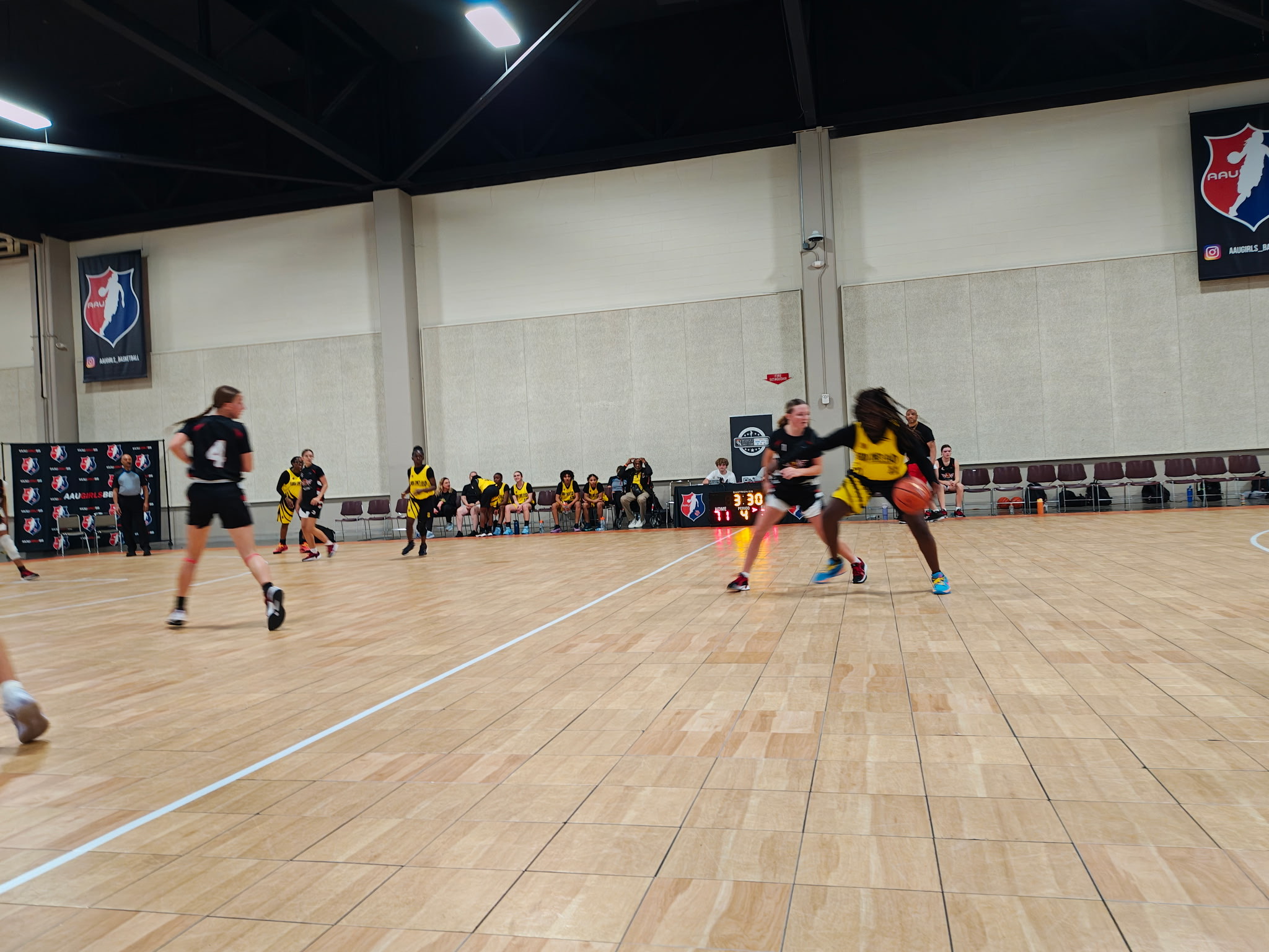 Arkansas Lady Hawks NSE's image