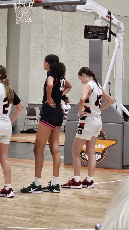 Arkansas Lady Hawks NSE's image