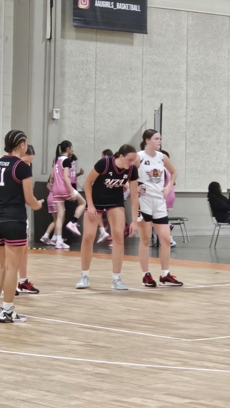 Arkansas Lady Hawks NSE's image