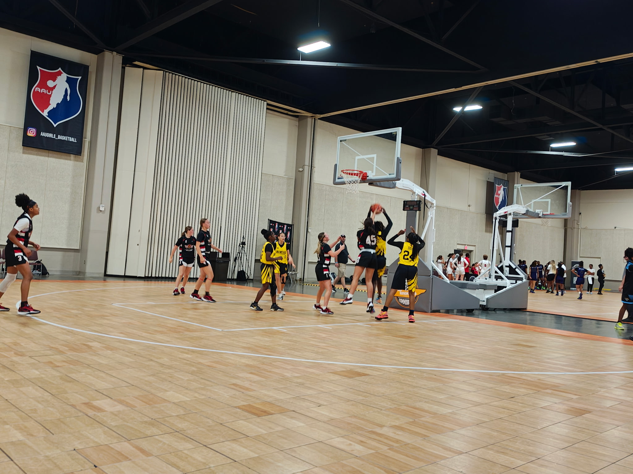 Arkansas Lady Hawks NSE's image