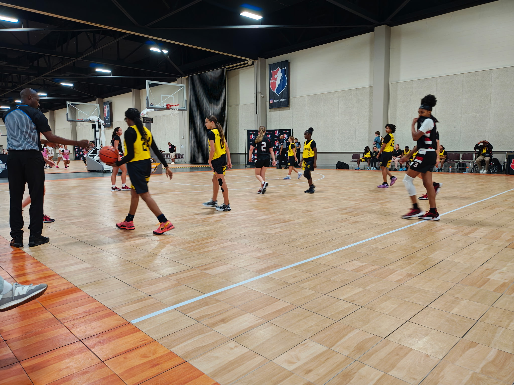 Arkansas Lady Hawks NSE's image
