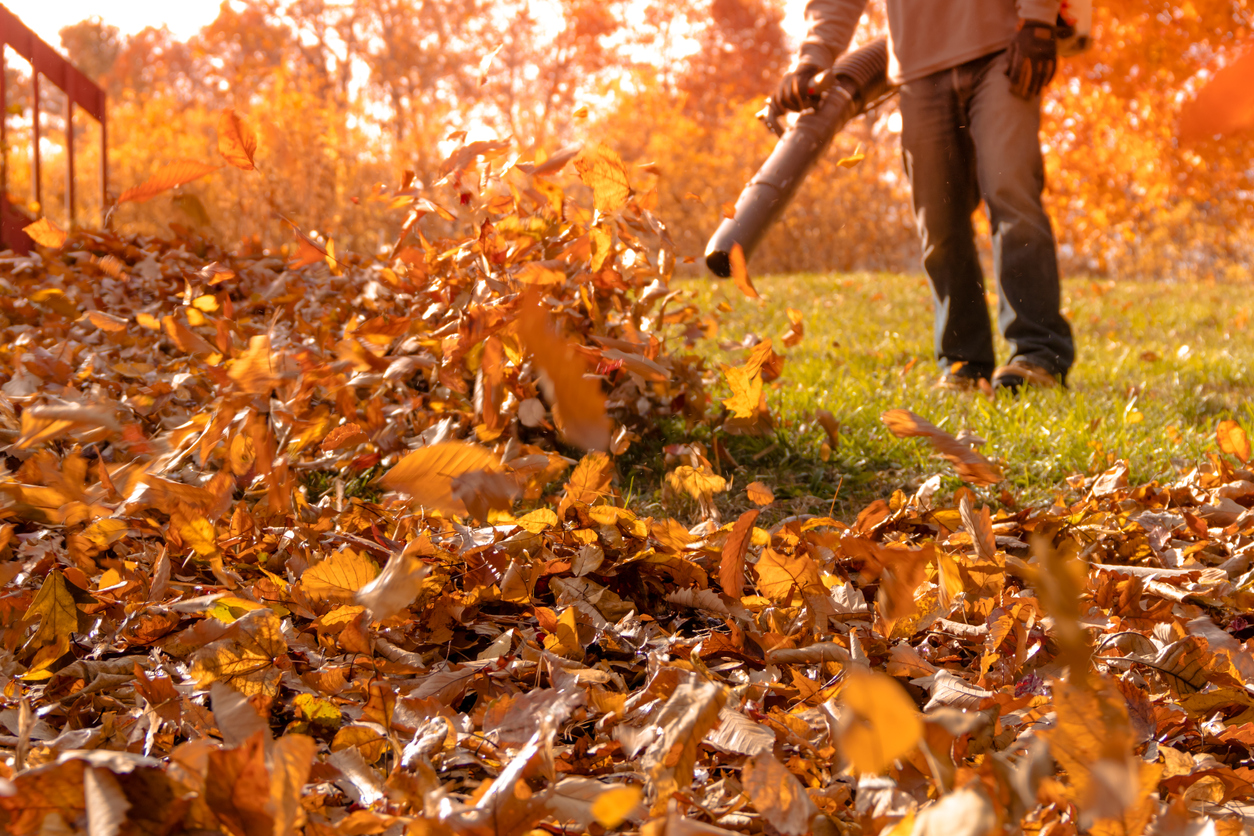 Top-Rated Lawn Care Services in Baton Rouge 's image