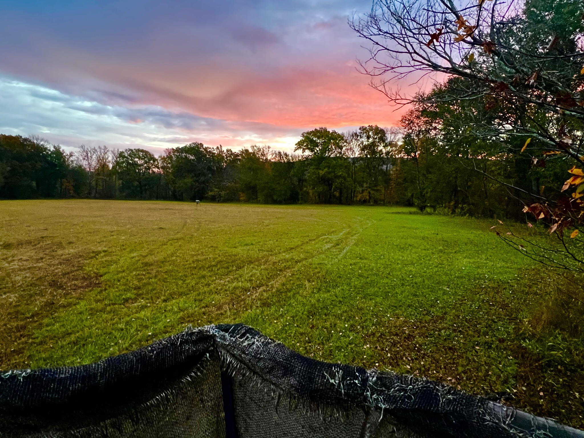 Crum Creek Land Services's image
