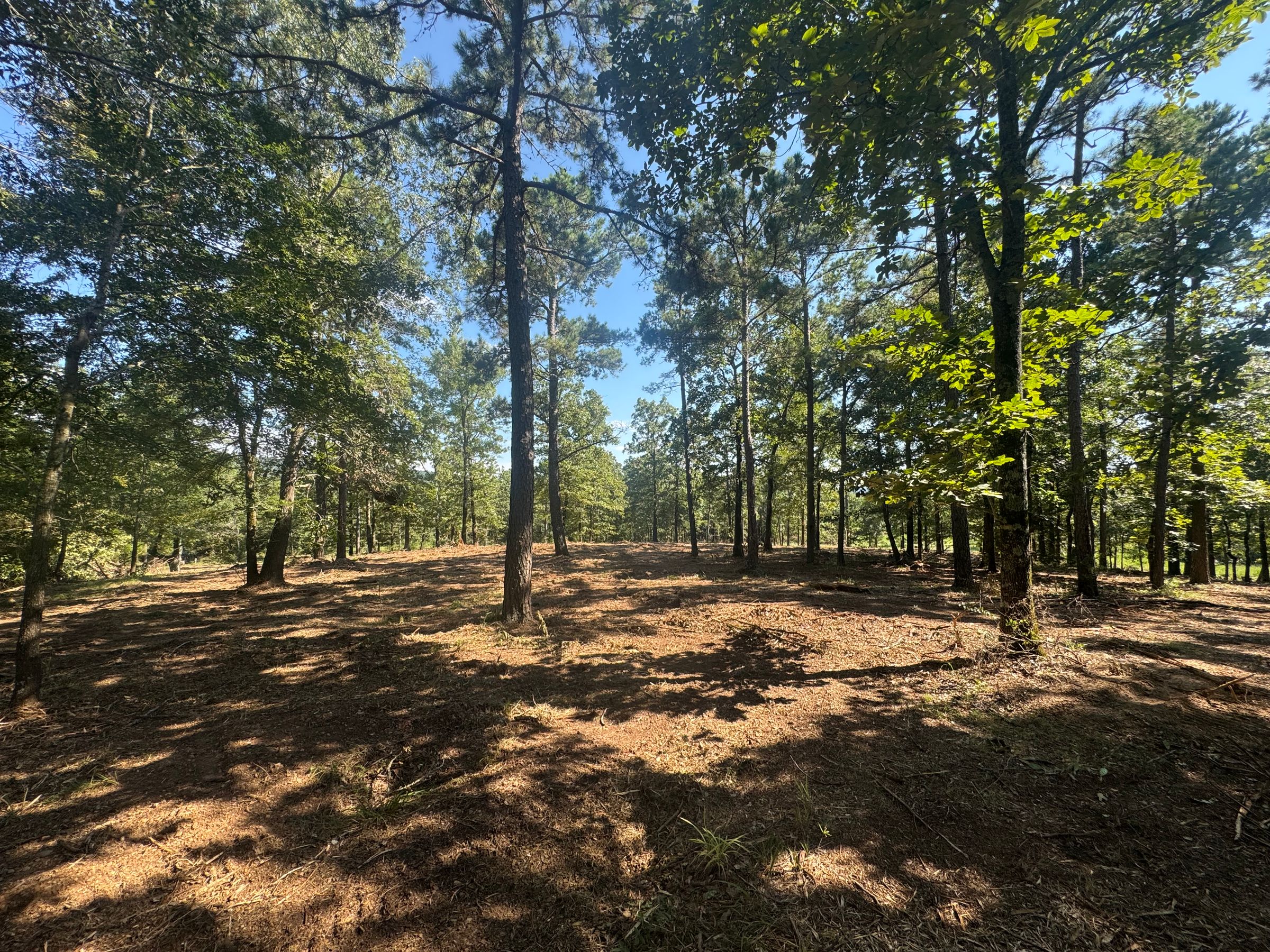 Crum Creek Land Services's image
