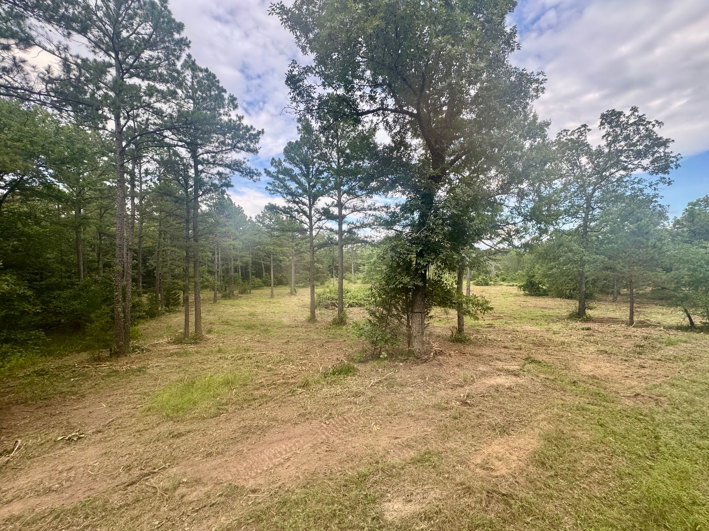 Crum Creek Land Services's image