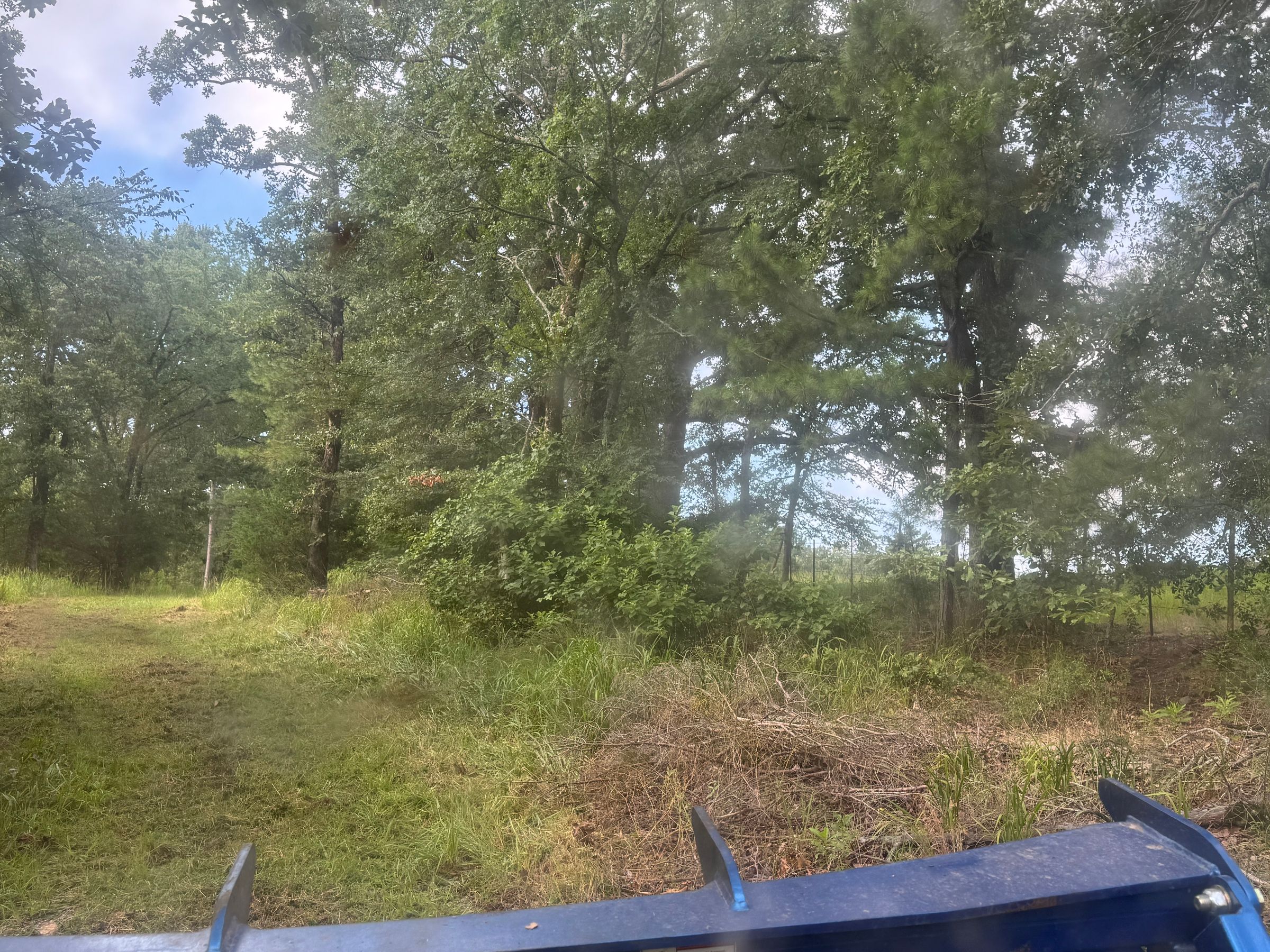 Fence line - Before