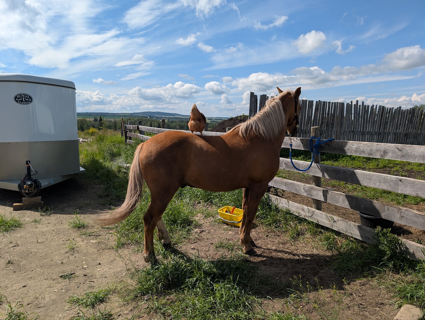 Cloutier Ranch's image