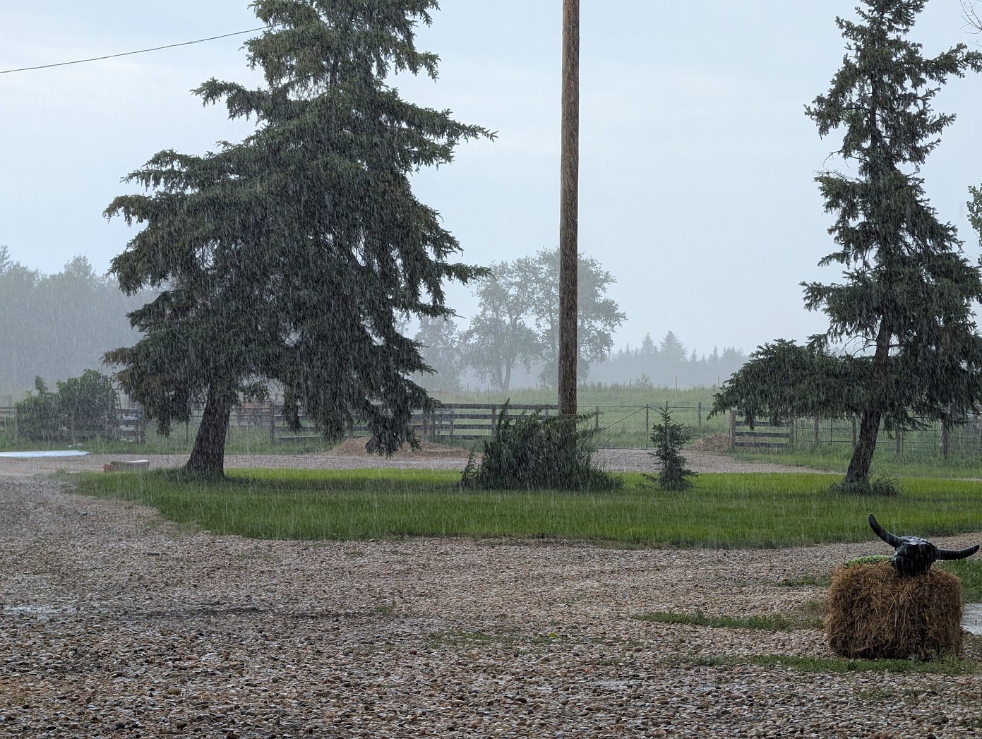 Cloutier Ranch's image
