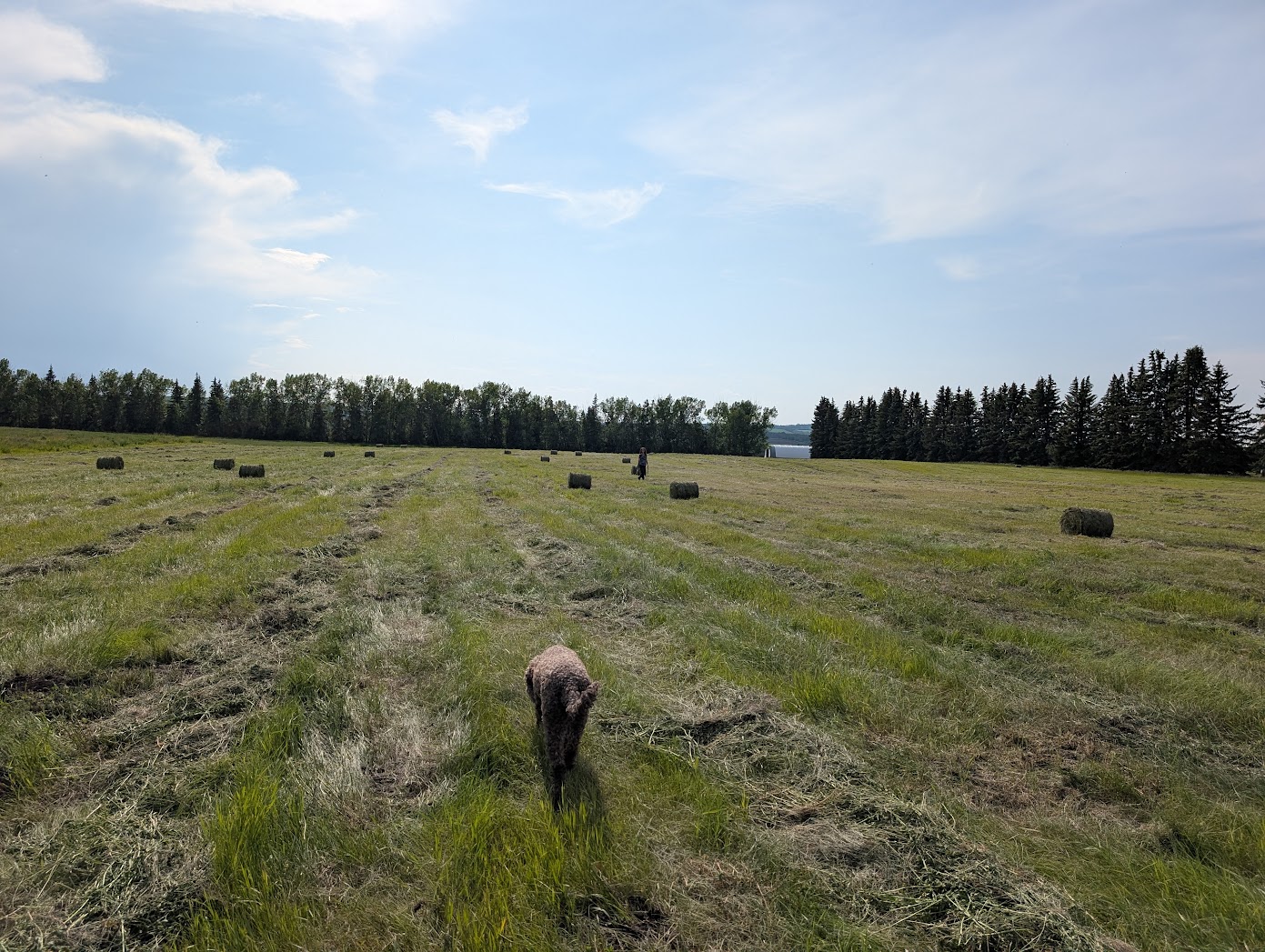 Cloutier Ranch's image