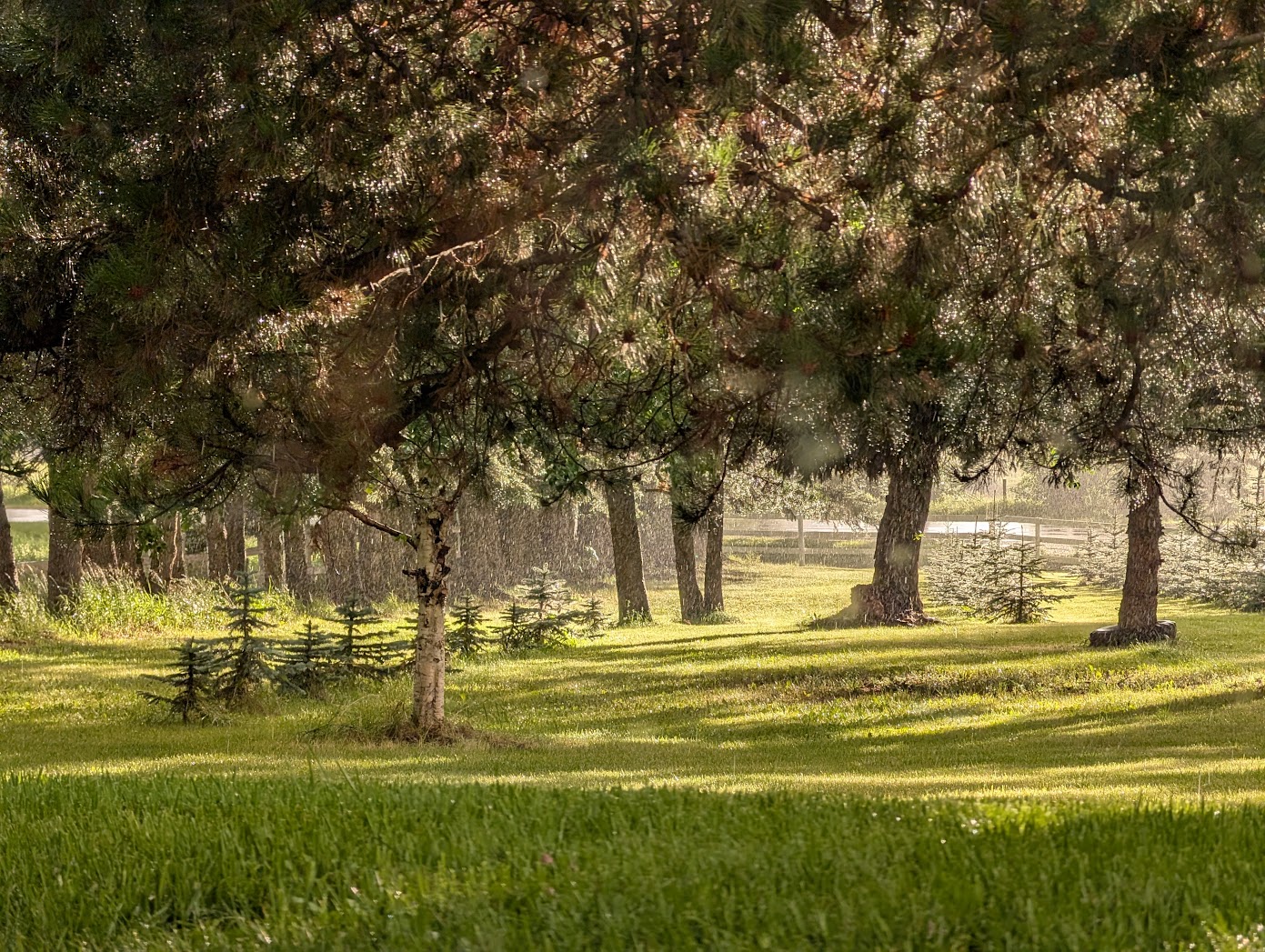 Cloutier Ranch's image