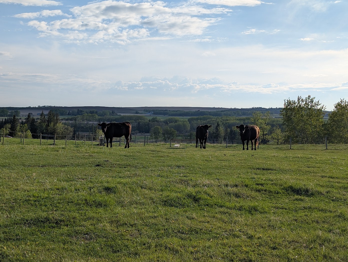 Cloutier Ranch's image