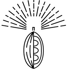 Conspiracy Chocolate