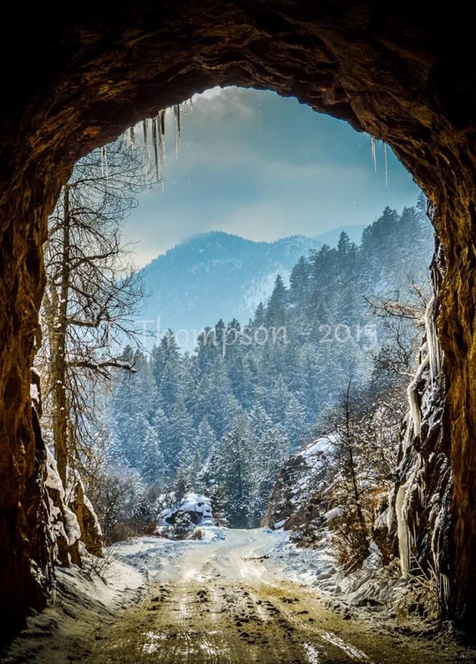 tLEGACY IMAGES's image